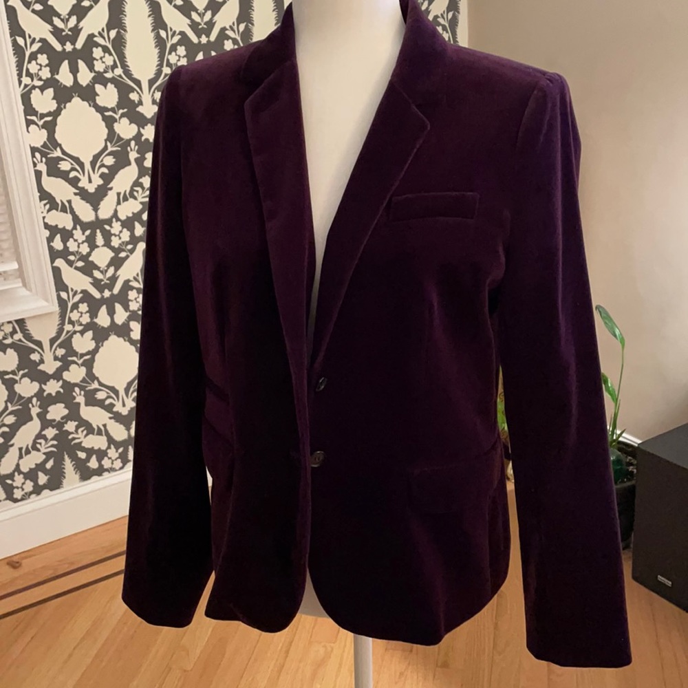 Eggplant/plum velvet jacket